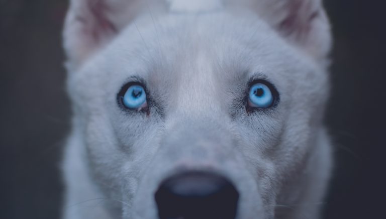 marek-szturc-3BVQIgTCD9M-unsplash