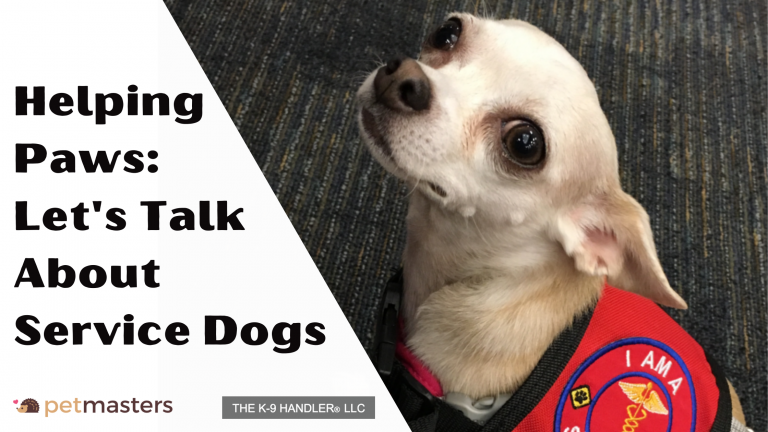 Blog Banners