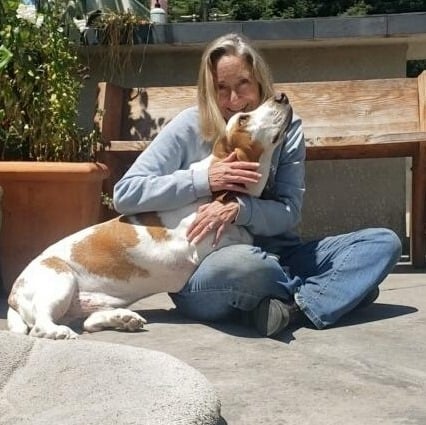 heartsong animal healing