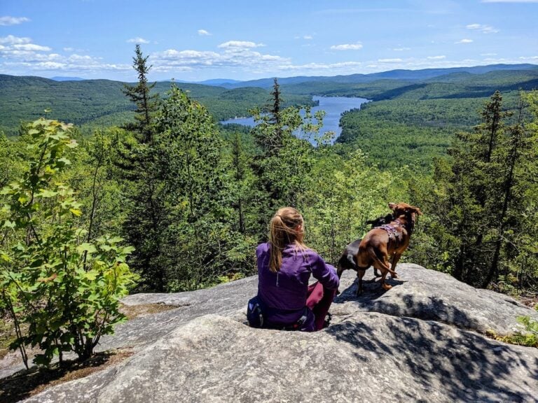 Hiking with dog