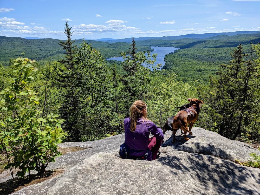 Hiking with dog